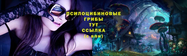 дмт Гусь-Хрустальный